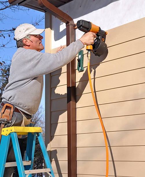 Best Steel Siding Installation  in Flint, MI